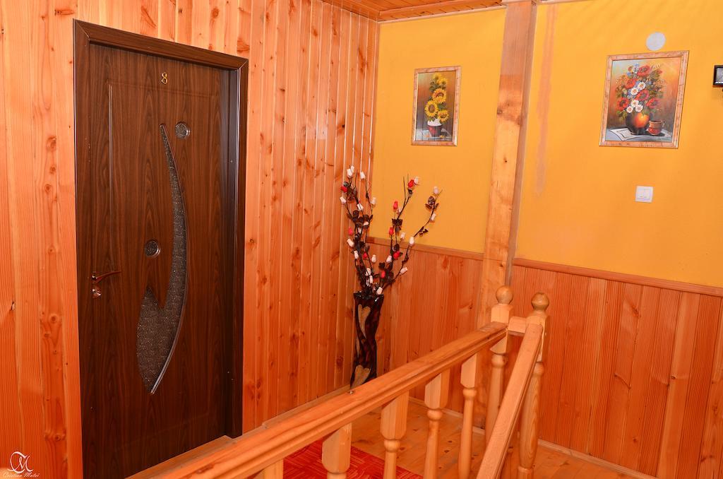 Pensiunea Deea Băile Herculane エクステリア 写真