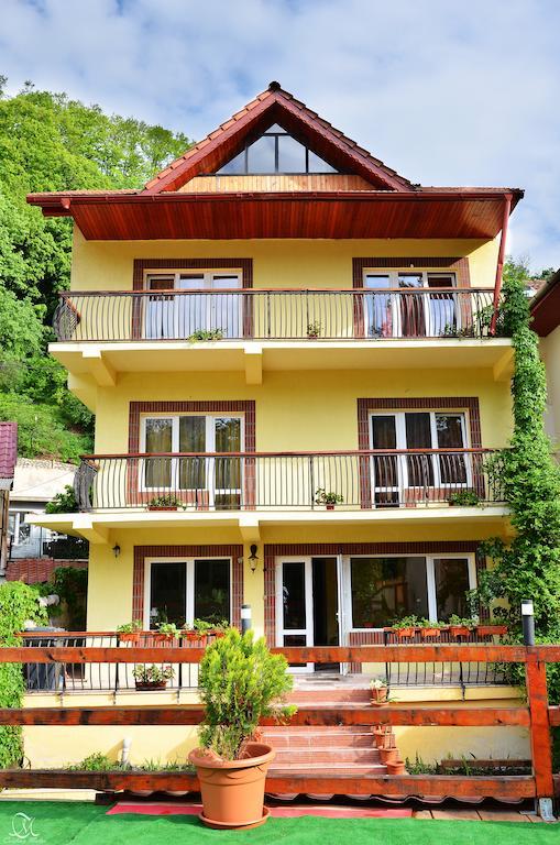 Pensiunea Deea Băile Herculane エクステリア 写真